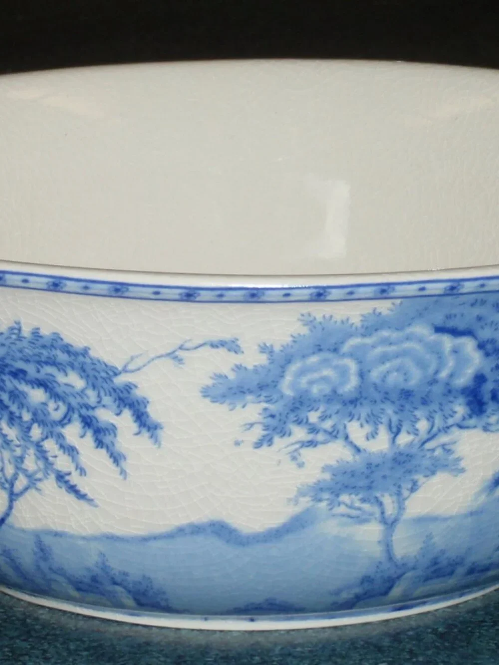 Pottery Barn Sophia Willow Serving Bowl Crackle Glaze 9